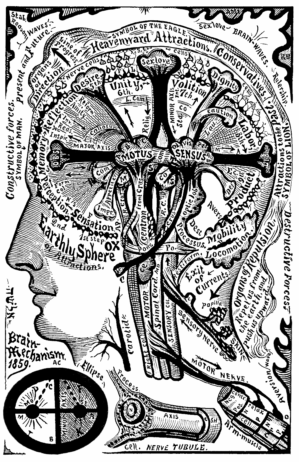22_brain_mechanism_1859.jpg