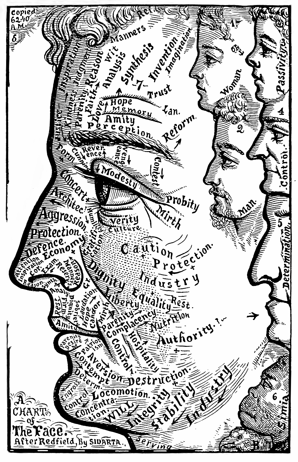 35_chart_of_the_face_1884.jpg