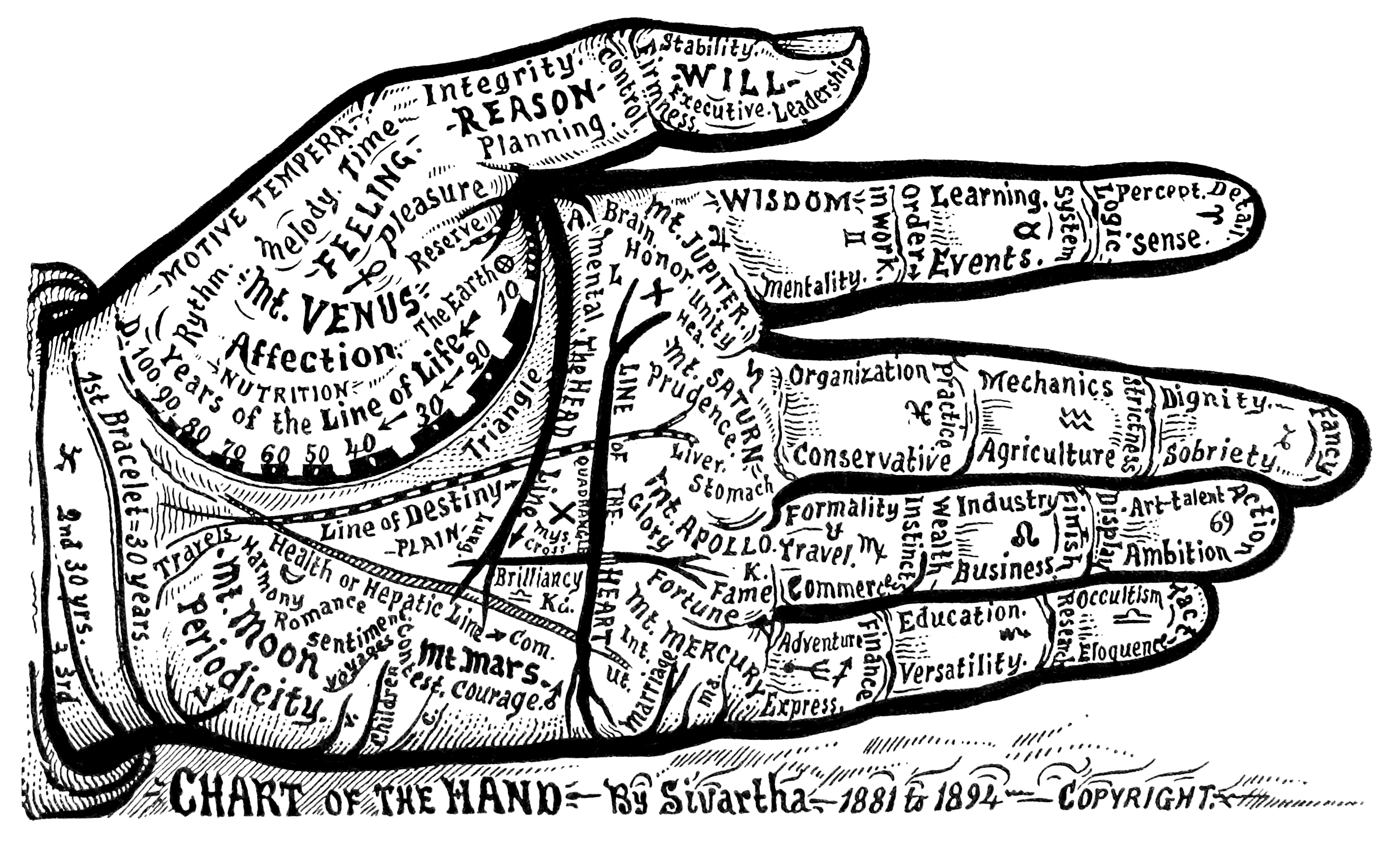 54_chart_of_the_hand_1.JPG