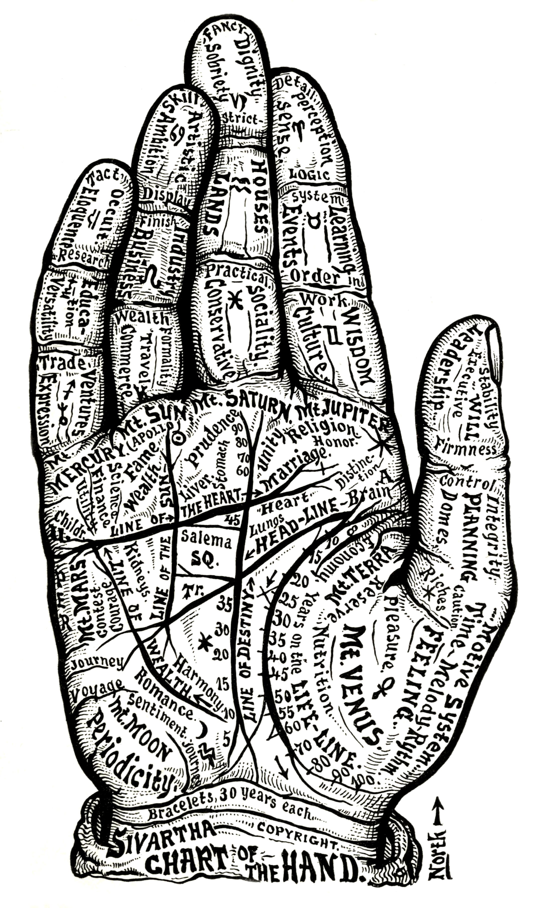 55_Chart_of_the_hand_2.jpg