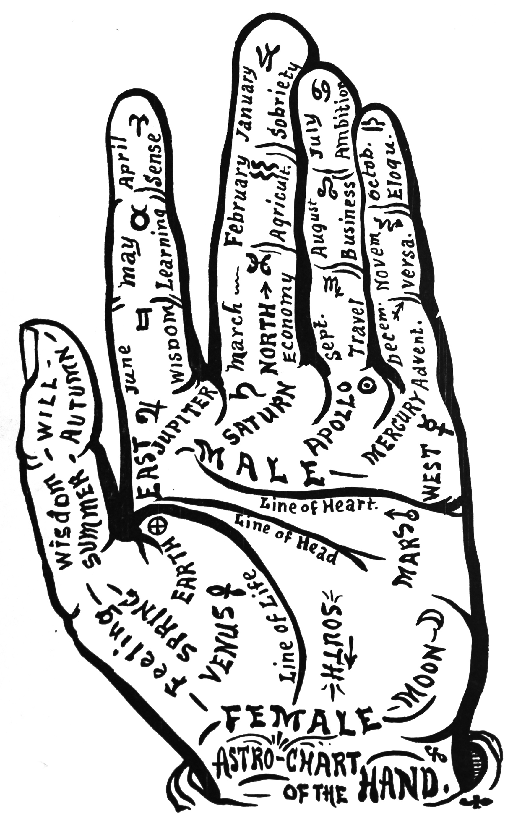 56_astro-chart_of_the_hand_-_palmistry.jpg