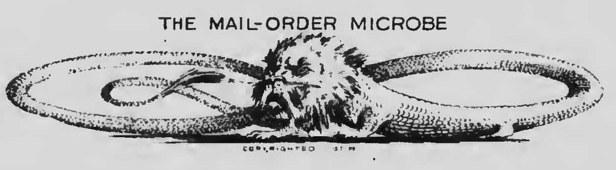 Online Store Online Store